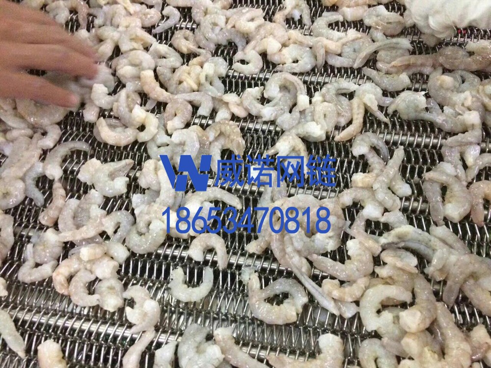 网带