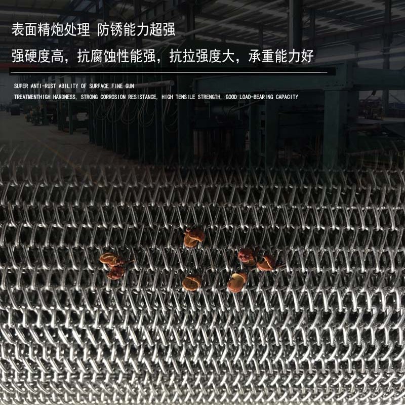 食品不锈钢网带