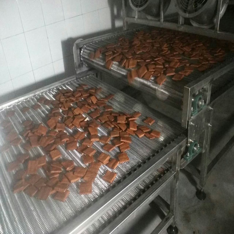 豆干输送机
