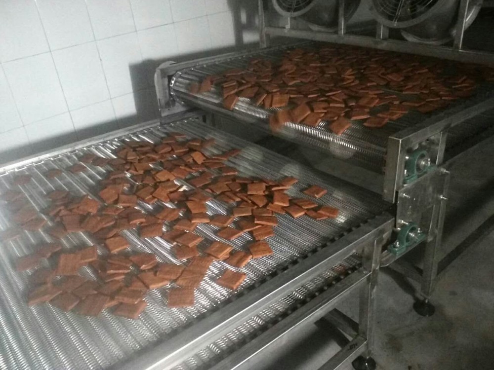 网链输送机