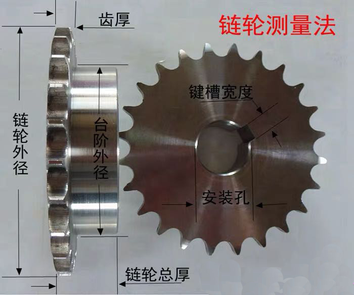 链轮